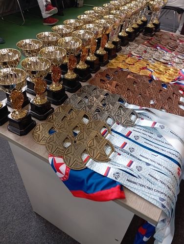 Всероссийский день самбо в Ельце