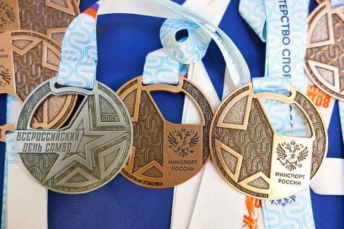 Всероссийский день самбо масштабно отметили в Подмосковье!