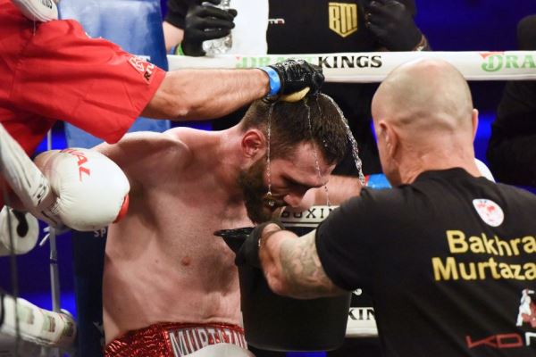 Бахрам Муртазалиев — Джош Келли, когда следующий бой, кто соперник, бокс 31 января 2026 года, кто фаворит, чемпион мира IBF