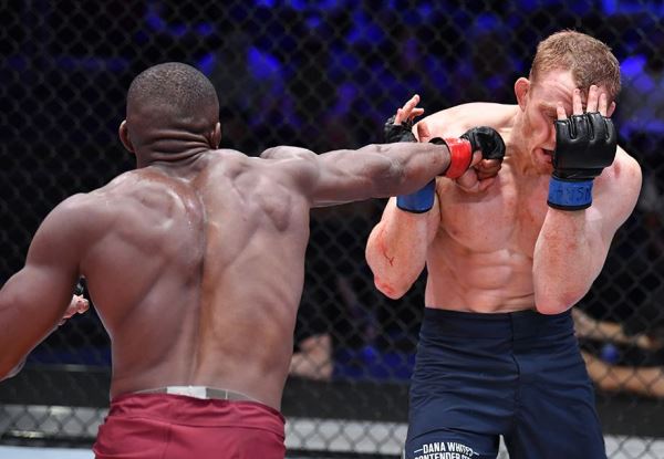 Джек Делла Маддалена: статистика боев, рейтинг в UFC, рекорд, сколько побед, поражений