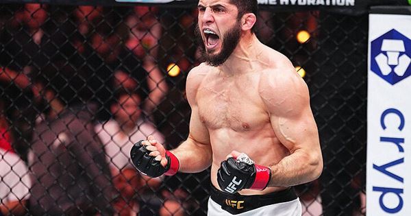 Календарь ММА, бокса ноябрь 2025 – расписание турниров и когда будут бои