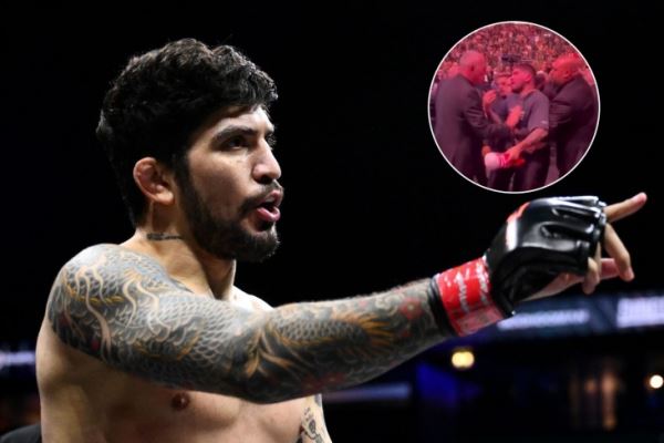 Драка на турнире UFC, Диллон Дэнис подрался с бойцами из команды Хабиба, конфликт, подробности, последствия, Дана Уайт