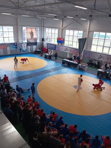 Всероссийский день самбо в Ельце