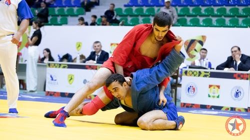 ОПРЕДЕЛИЛИСЬ ПАРЫ ФИНАЛИСТОВ ПЕРВОГО ДНЯ КУБКА МИРА ПО САМБО