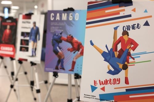 Базовая площадка всероссийского проекта «Самбо в школу» открылась на Дону в школе №116