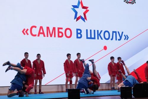 Базовая площадка всероссийского проекта «Самбо в школу» открылась на Дону в школе №116